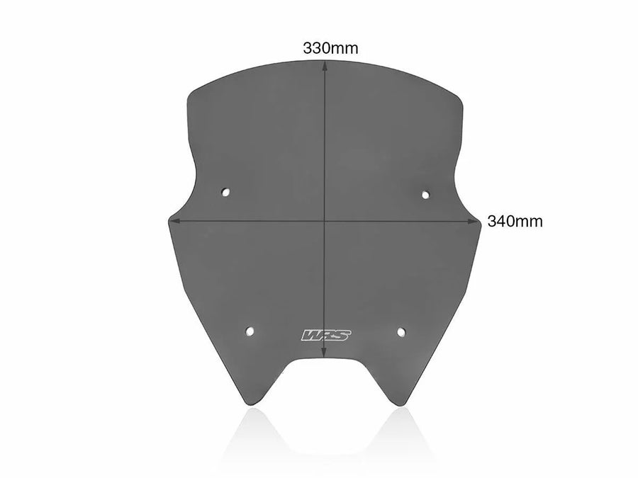 BMW R 1200 R [WRS] – Windschild