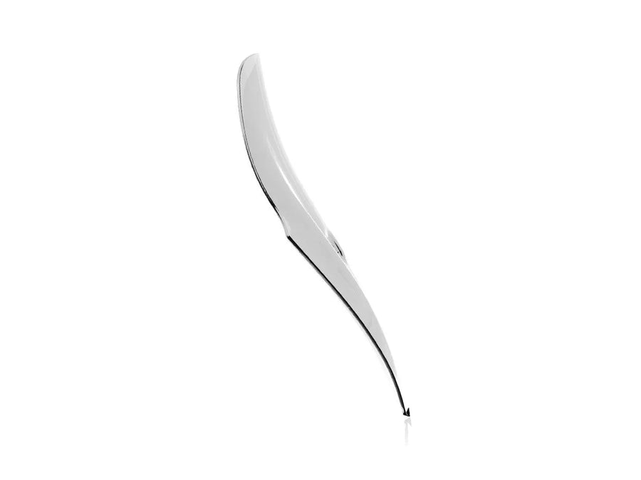 ducati diavel [WRS] – windshield