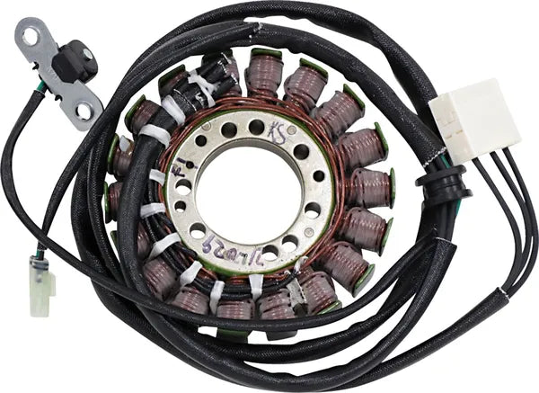 Daytona 675 [RICK'S MOTORSPORT ELECTRIC] – Stator im OEM-Stil