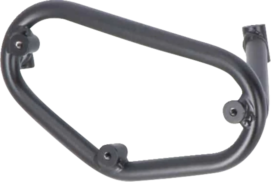 BMW F 900 [SW-MOTECH] – Porta-bagagens lateral SLC