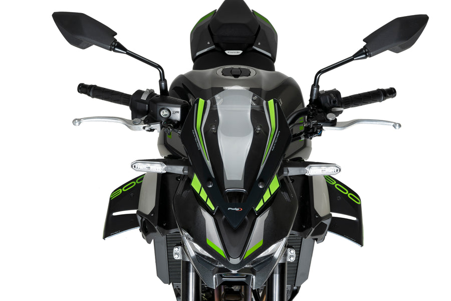 KAWASAKI Z 900 SE [2025] – D12 Spoiler – Carbon look