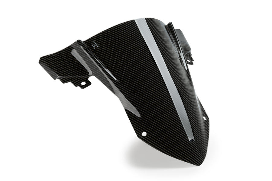 BMW S 1000 RR [2025] – Obrazovka Z-Racing – tónovaná