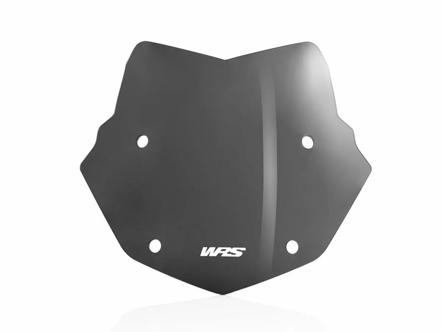 BMW R 1200 GS [WRS] – Windschild