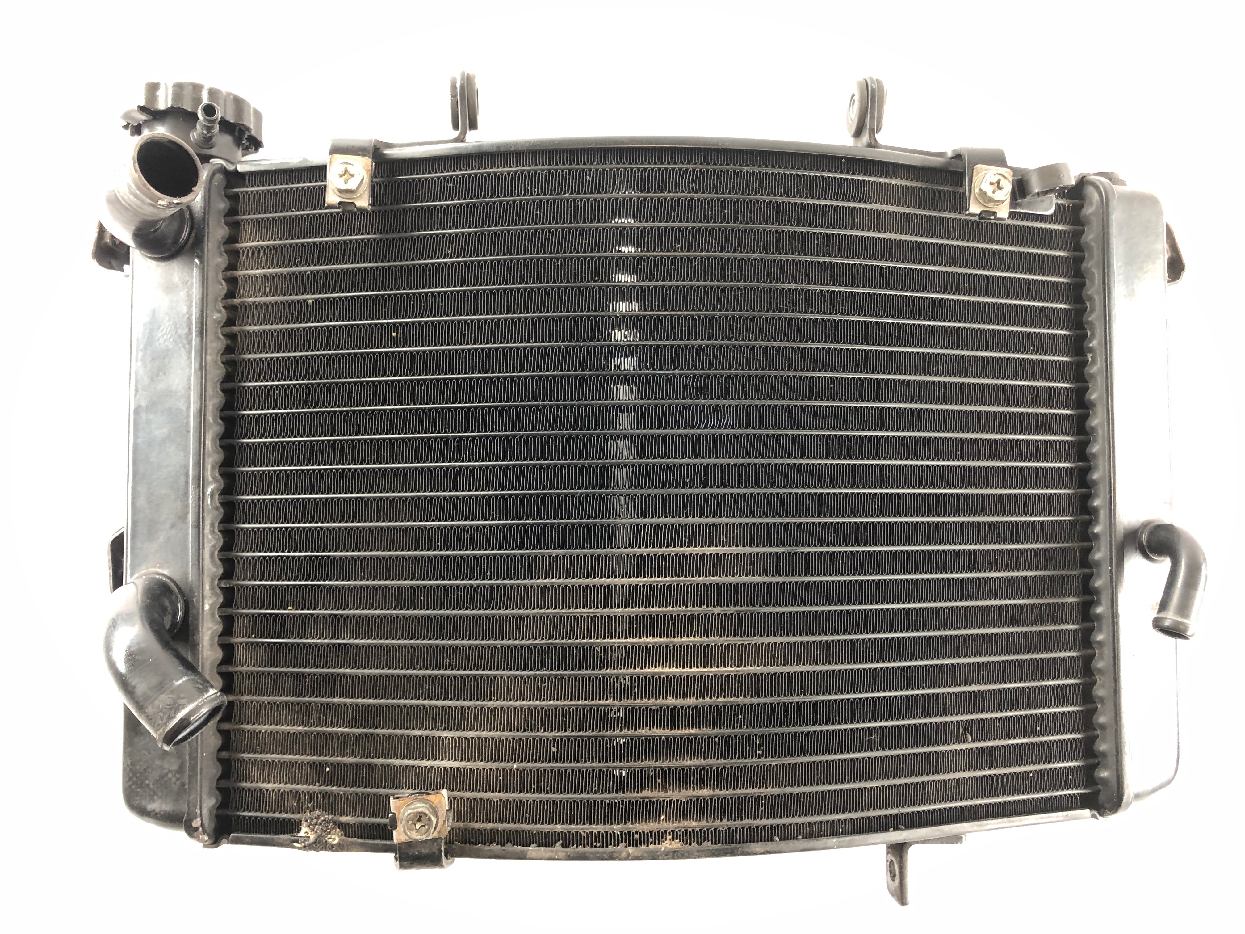 Triumph Street Triple R 675 D67LD [2008] - Radiator Water Cooler