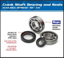 Yamaha Yfs 200 Blaster [ALL BALLS] - set cuscinetto albero motore e paraolio