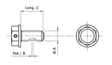 BMW R 1150 R [TECNIUM] - Drain Screw - 0