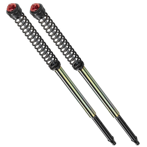 Bmw F 800 Gs [BITUBO] - Sport Adjustable Fork Kit - BW037ABB09WO