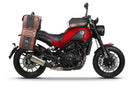 Benelli Leoncino 500 [SHAD] - Seitentaschen Halter Café Racer Benelli i-3