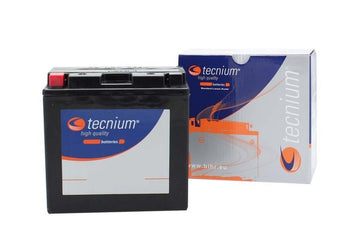 Yamaha Xvs 1100 Drag Star [TECNIUM] - Batteria senza manutenzione attivata in fabbrica - BT14B-4