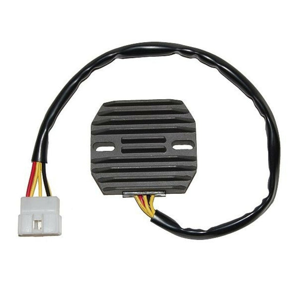 Yamaha Fzs 1000 Fazer [ELECTROSPORT] - Regler - Yamaha FZS1000 Fazer