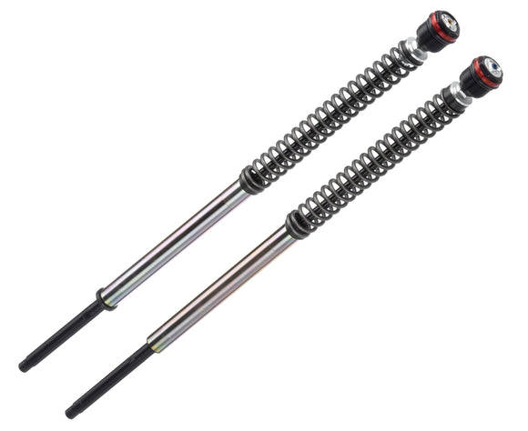 Suzuki GSX 800 S [BITUBO] - JBH01 Cartdrige Kit