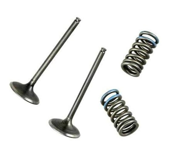 Yamaha Yz 450 [WOSSNER] - WÖSSNER Auslass Ventilsatz - Yamaha Yz250F/Wrf