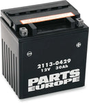 California 1000 [PARTS EUROPE] – Parts Europe Batterie