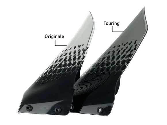 Ducati Desertx [WRS] - Windschild