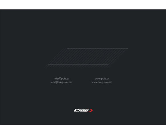 DUCATI PANIGALE V2 [2024] – R-Racer Scheibe – Transparent