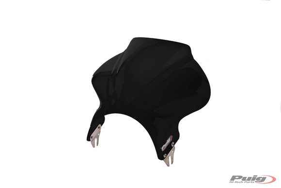 KAWASAKI W 230 [2025] – Cockpit windshield panel – Transparent