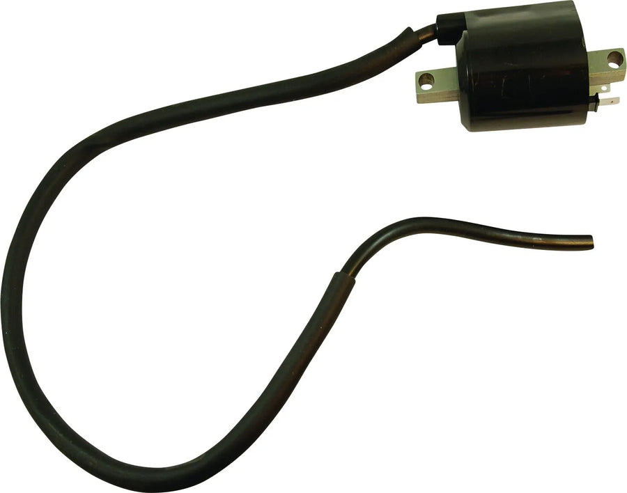 aprilia rx 125 [PARTS EUROPE] – Tändspole