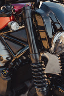 harley davidson nightster [CULT WERK] – vorkbeschermers-2