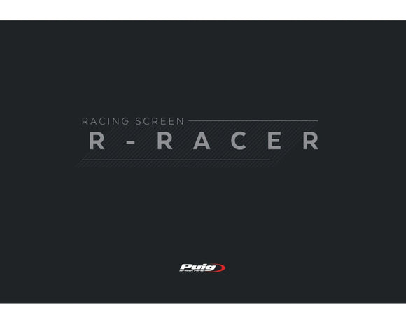 KAWASAKI ZX-10RR NINJA PERFORMANCE [2018] — Экран R-Racer — Черный