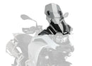 CFMOTO 450 SR [2025] – Z-Racing Scheibe – Getönt