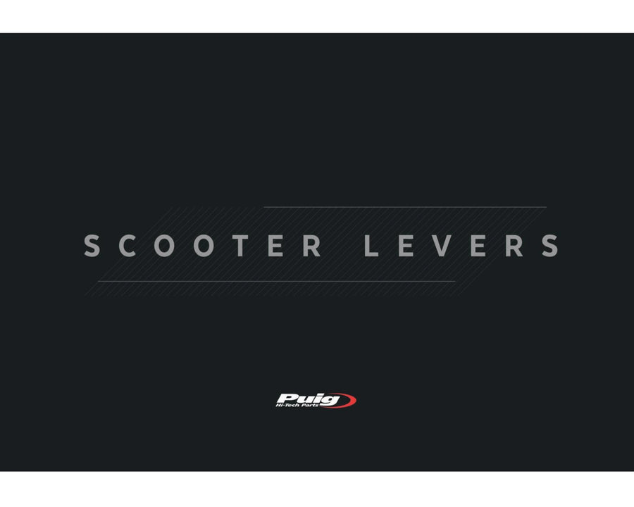 HONDA FORZA 125 [2020] – 助力车控制杆 – 银色