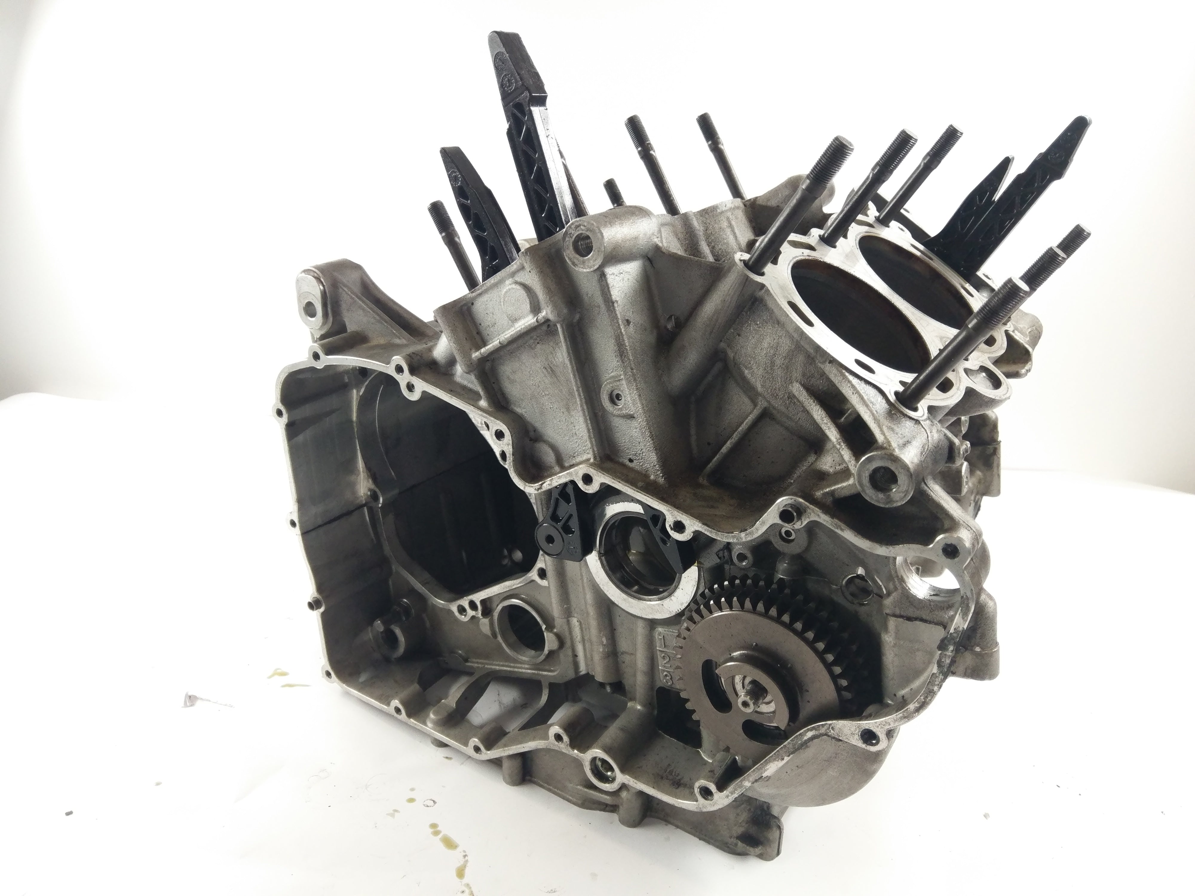 Aprilia RSV4 1000 RK [2010] - Engine housing empty