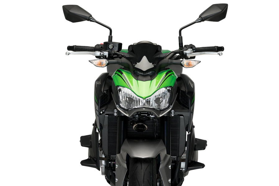 KAWASAKI Z 900 [2019] - Zijspoiler met naakte voorruit