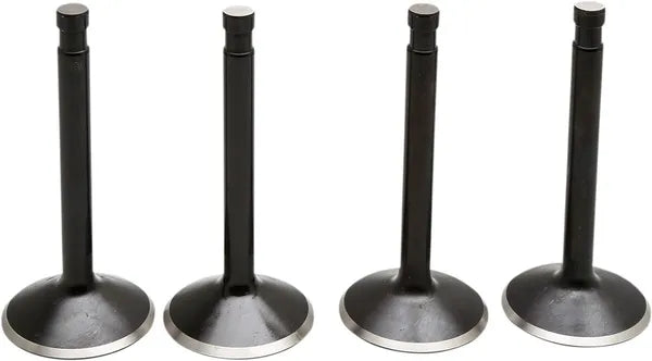 Harley Davidson Flfb [KIBBLEWHITE] – Black Diamond™ Motorventilsatz