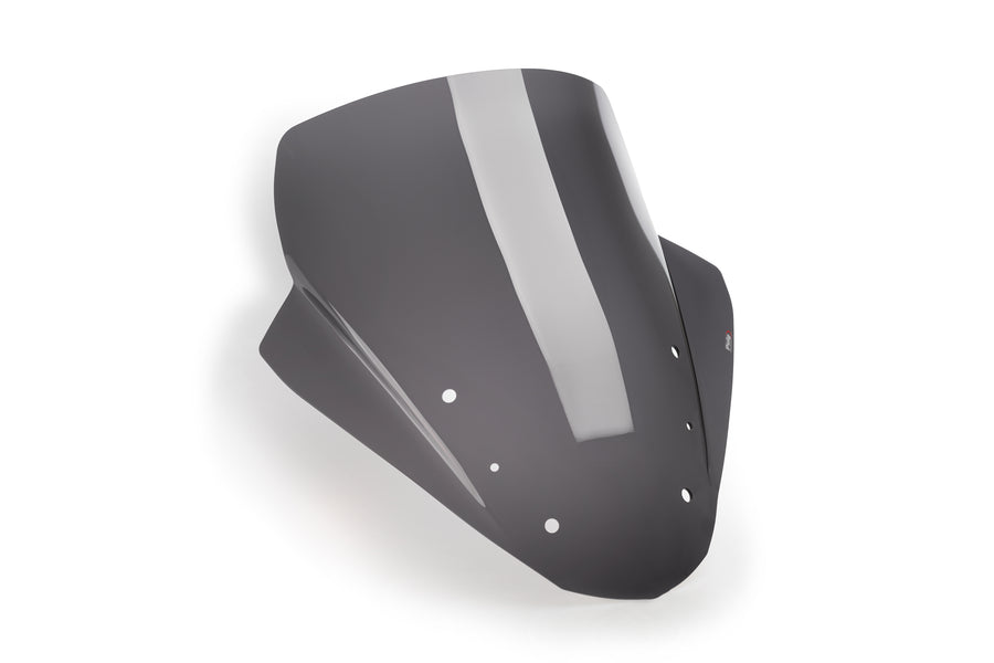 BMW R 1250 RT [2025] – cestovní obrazovka – průhledná