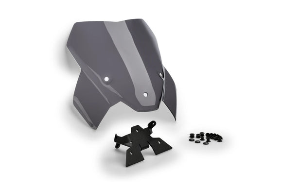 BMW M 1000 R [2024] — Новое поколение Sport — Тонировка