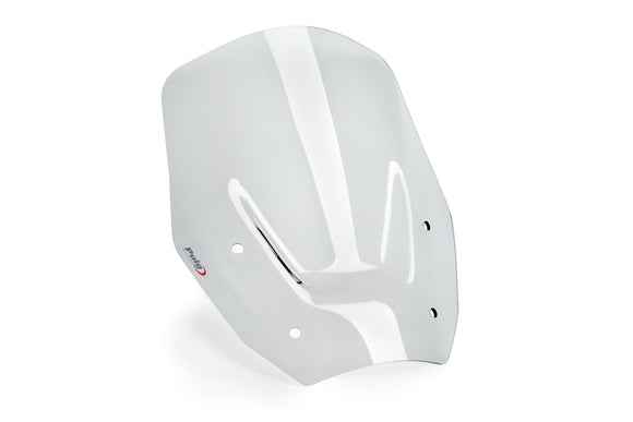 BMW R 1300 GS TROPHY [2025] — Стандартный экран — Тонировка