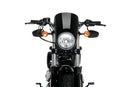 HARLEY DAVIDSON SPORTSTER FORTY-EIGHT XL 1200 X [2020] – Anarchy – Black-5