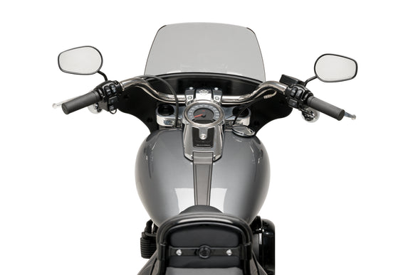 HARLEY DAVIDSON SOFTAIL SPORT GLIDE FLSB [2025] - High-Road Touring - Tintado