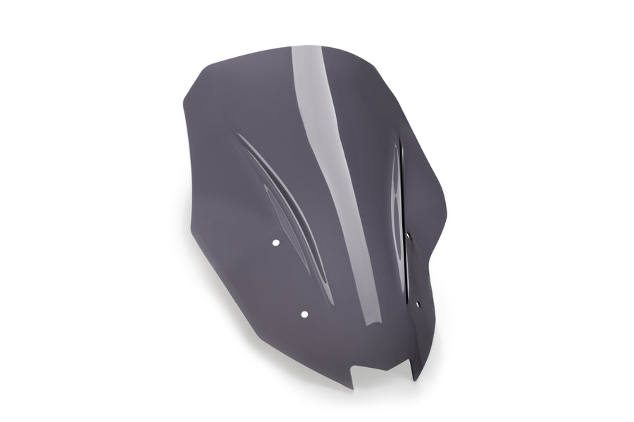 川崎 VERSYS 650 [2025] – 旅行屏幕 – 有色