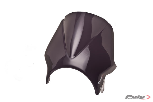 KAWASAKI Z 900 RS SE [2025] – Windy Windshield Fairing – Transparent