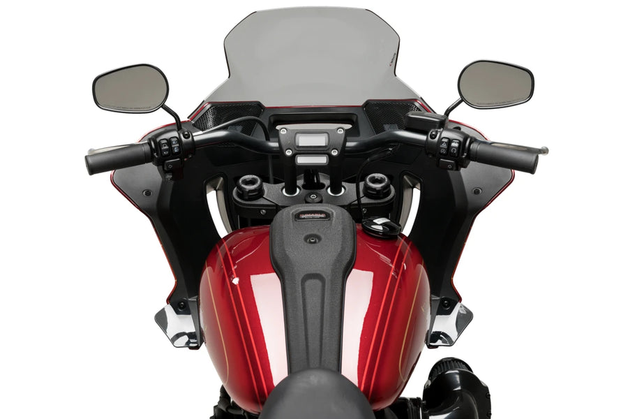 HARLEY DAVIDSON SOFTAIL LOW RIDER ST FXLRST [2025] — для шоссейных дорог