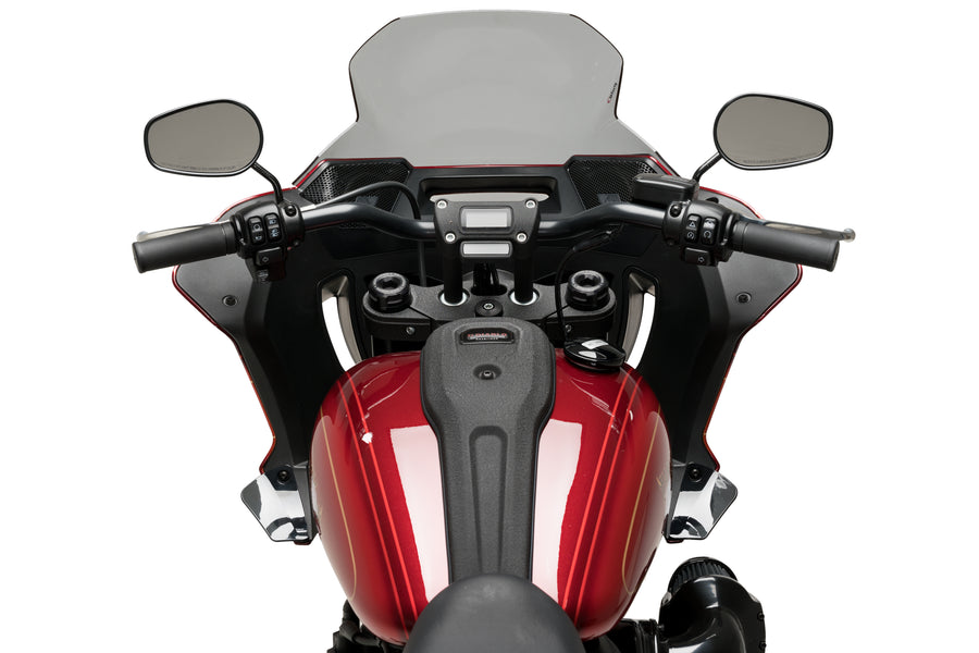 HARLEY DAVIDSON SOFTAIL LOW RIDER ST FXLRST [2025] — для шоссейных дорог