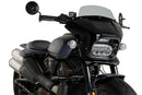 HARLEY DAVIDSON SPORTSTER S RH 1250 S [2024] — Fury — Сильная тонировка-33