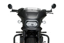 HARLEY DAVIDSON SPORTSTER S RH 1250 S [2024] – Fury – Getönt-13