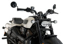 HARLEY DAVIDSON SPORTSTER S RH 1250 S [2024] – Fury – Stærkt tonet-28