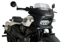 HARLEY DAVIDSON SPORTSTER S RH 1250 S [2024] – Fury – Getönt-14