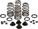 Daytona 660 [KIBBLEWHITE] – Beehive Valve™ Ventilfeder-Kit