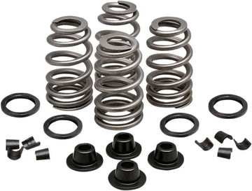 Daytona 660 [KIBBLEWHITE] – Beehive Valve™ Ventilfeder-Kit