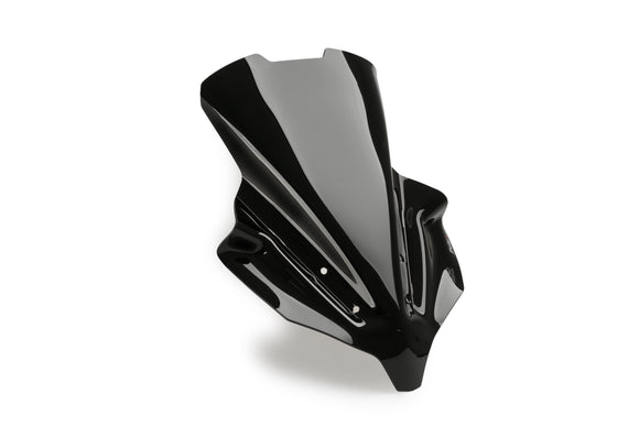 ヤマハ MT-10 SP [2025] – 新世代ツーリング – ティンテッド