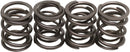 harley davidson flfb [KIBBLEWHITE] – venttiilin jousisarja-1