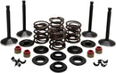 Harley Davidson Flfb [KIBBLEWHITE] – Motorventil-Kit