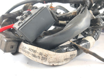 ヤマハWR 125 R DE07 [2016]  - ワイヤーハーネス - 0
