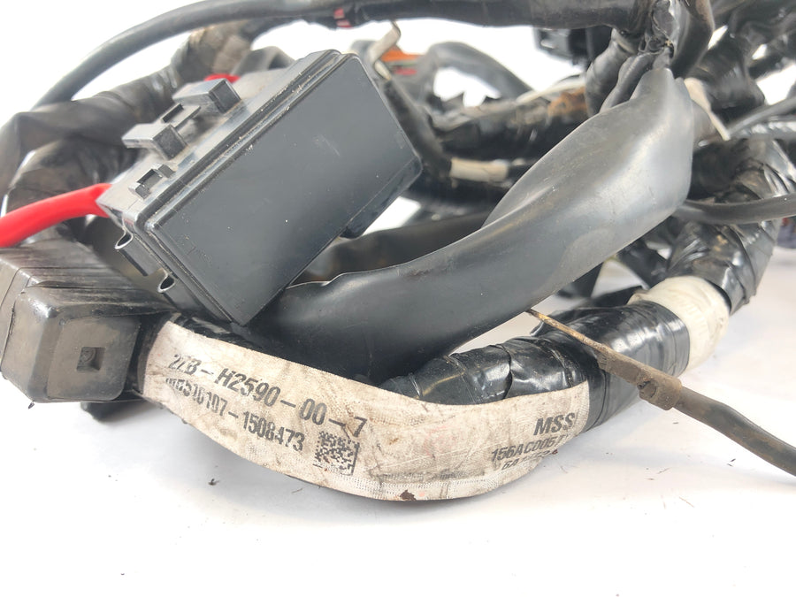 Yamaha WR 125 R de07 [2016] - Firação do arnês