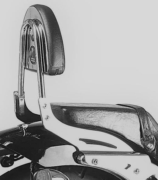 Honda VT 750 D2 Black Wido [2001-2003] - Sissybar uten bagasjebro