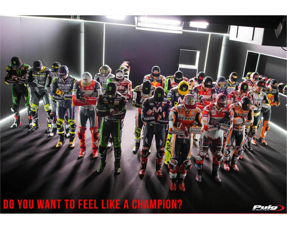 KAWASAKI ZX-10RR NINJA PERFORMANCE [2018] — Экран R-Racer — Тонированный